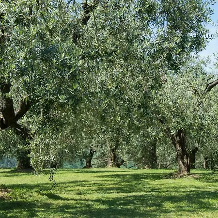 Podere La Casa Farm stay Palaia